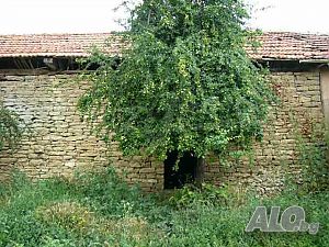 image_11