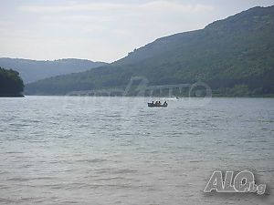 image_6