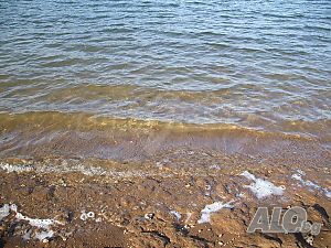 image_12