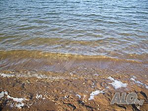 image_15