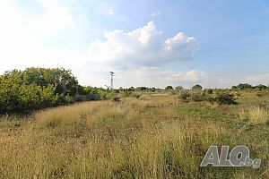 image_8