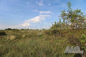 image_9