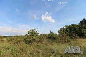 image_11
