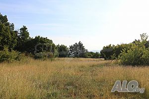 image_12