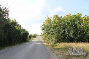 image_14