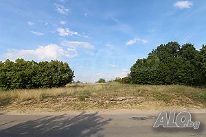 image_15