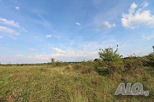 image_10