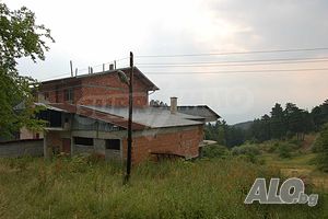 image_11
