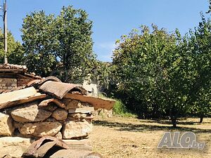 image_15