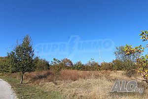image_5