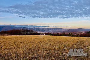 image_11