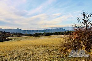 image_15