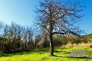 image_4