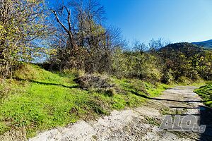 image_8