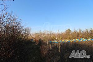 image_6