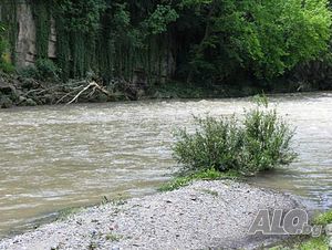 image_10