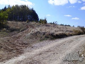 image_3