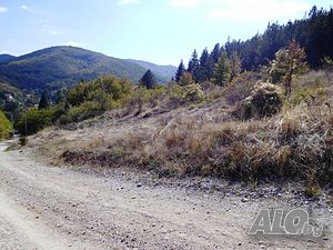 image_6