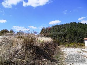 image_8