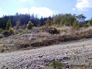 image_9