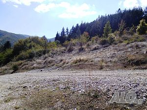 image_10