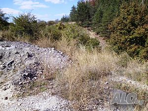 image_12