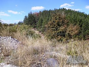 image_13