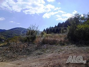 image_15