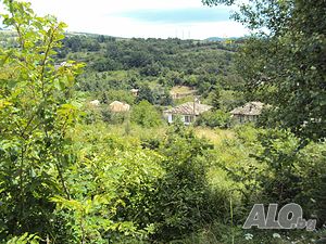 image_3