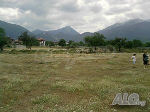image_7