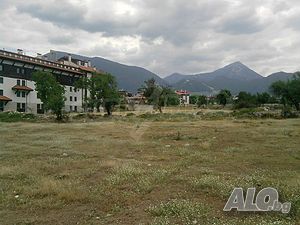 image_8