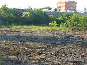 image_9