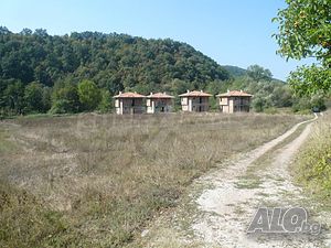 image_10