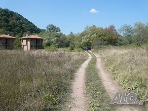 image_11
