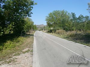 image_15