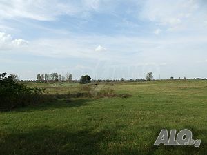 image_11