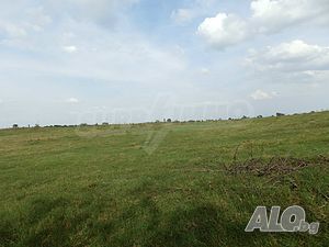 image_12