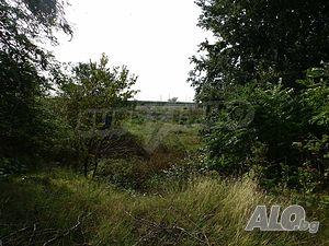 image_13