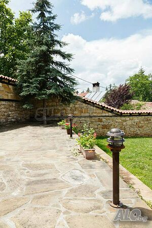 image_8