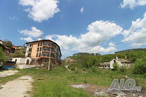 image_8