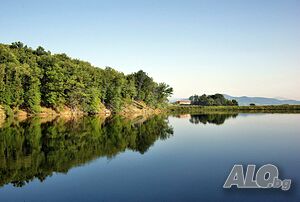 image_6