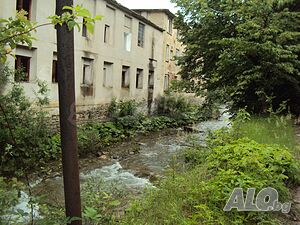 image_9