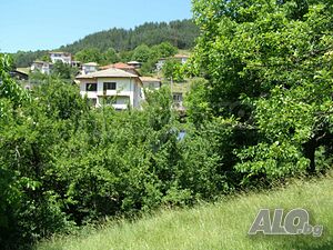 image_4
