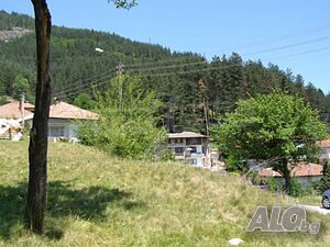 image_11