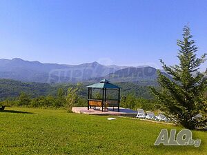 image_6