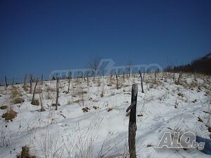 image_7
