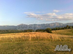 image_6