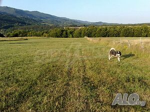 image_8