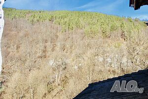 image_8