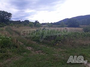 image_3